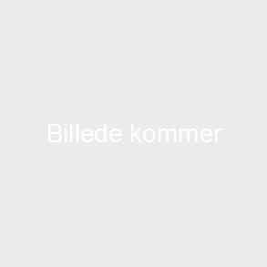 Beskyt. Vinduer