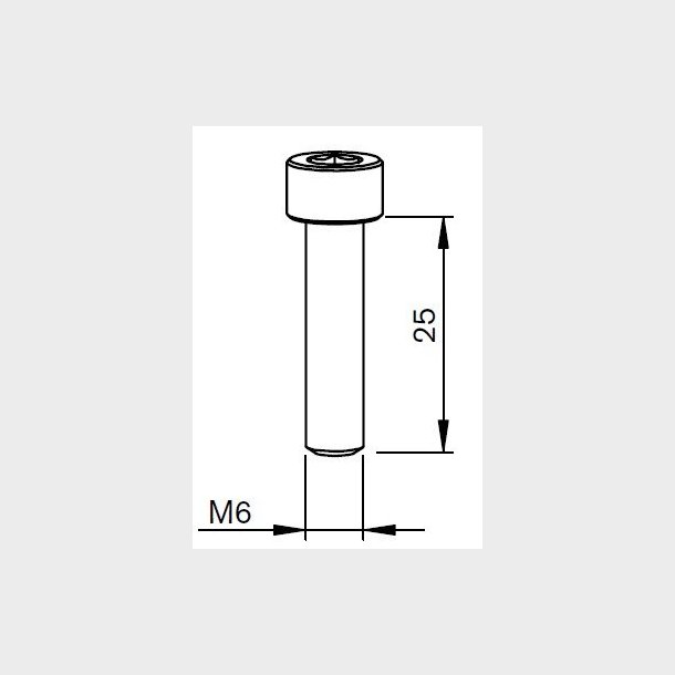 71800008 - L249OA005 - AM416-A005 - AM-SAFETY SCREW - AL346.E - Pieces per PK - 1