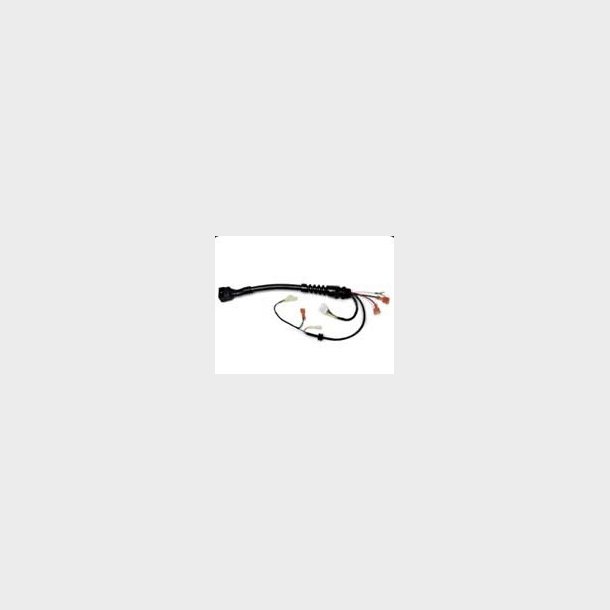 P007 - RoboCut Spares - Gantry wiring harness - alt. Ref. D-202