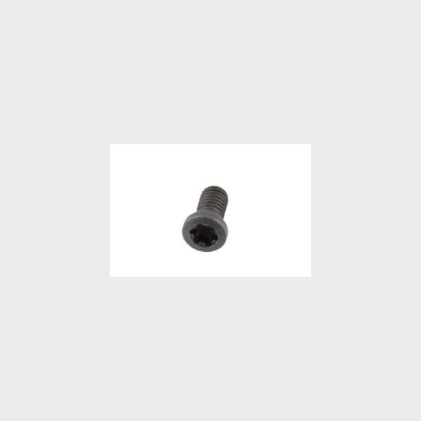 P013.-Insert fixing screw.-for PLY-000282, PLY-000591