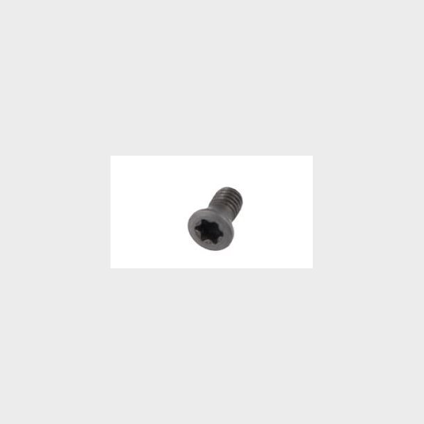 SRB-000297 - Insert fixing screw for PLY-000422