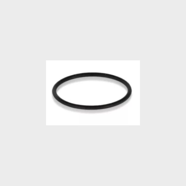 P00341 - O-ring for marking electrode